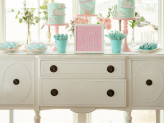 View More: http://idaliaphotography.pass.us/alex-baby-shower